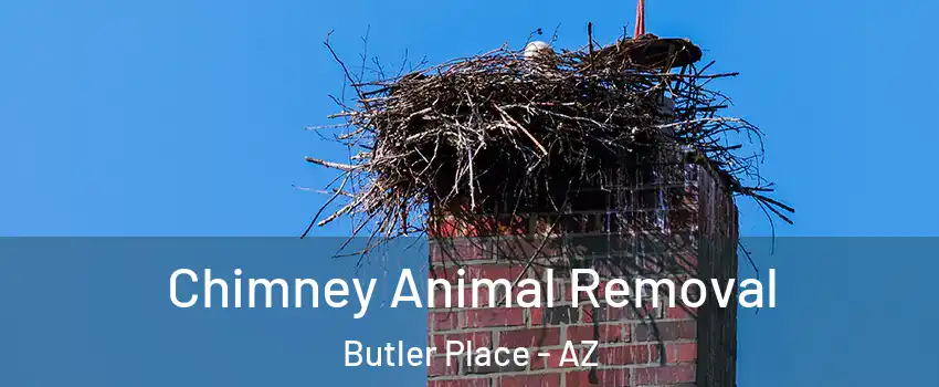 Chimney Animal Removal Butler Place - AZ