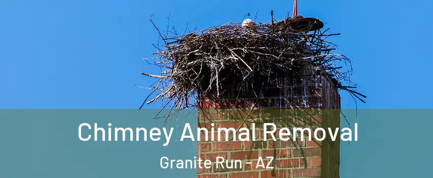 Chimney Animal Removal Granite Run - AZ