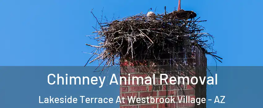 Chimney Animal Removal Lakeside Terrace At Westbrook Village - AZ