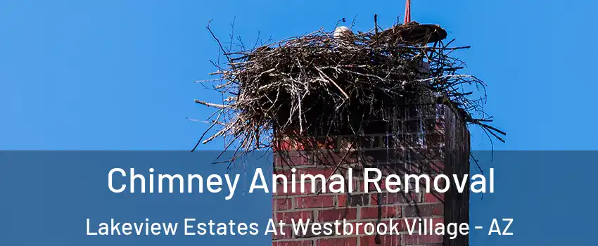 Chimney Animal Removal Lakeview Estates At Westbrook Village - AZ