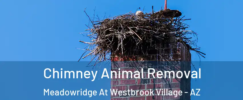 Chimney Animal Removal Meadowridge At Westbrook Village - AZ