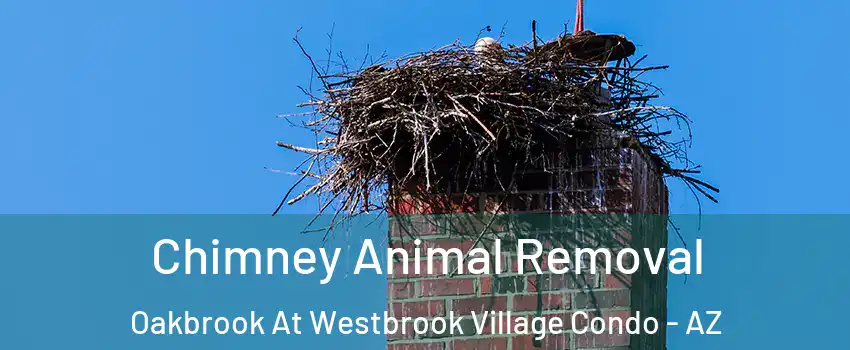 Chimney Animal Removal Oakbrook At Westbrook Village Condo - AZ
