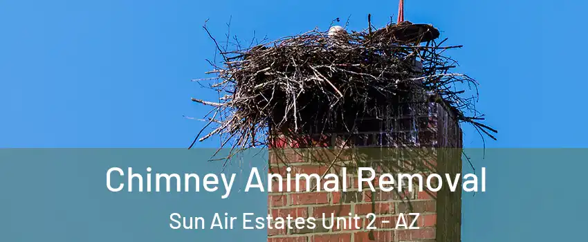 Chimney Animal Removal Sun Air Estates Unit 2 - AZ