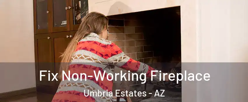Fix Non-Working Fireplace Umbria Estates - AZ
