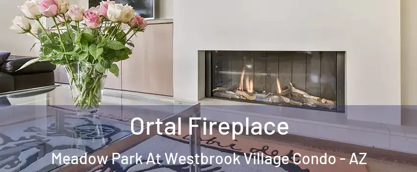 Ortal Fireplace Meadow Park At Westbrook Village Condo - AZ