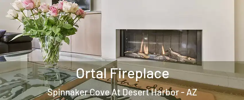 Ortal Fireplace Spinnaker Cove At Desert Harbor - AZ